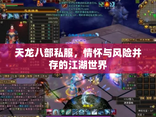 天龙八部私服，情怀与风险并存的江湖世界