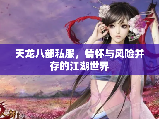 天龙八部私服，情怀与风险并存的江湖世界