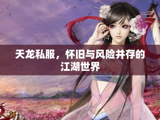 天龙私服，怀旧与风险并存的江湖世界