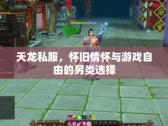天龙私服，怀旧情怀与游戏自由的另类选择