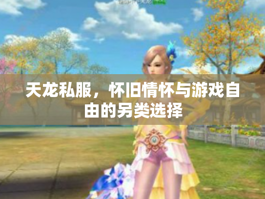 天龙私服，怀旧情怀与游戏自由的另类选择