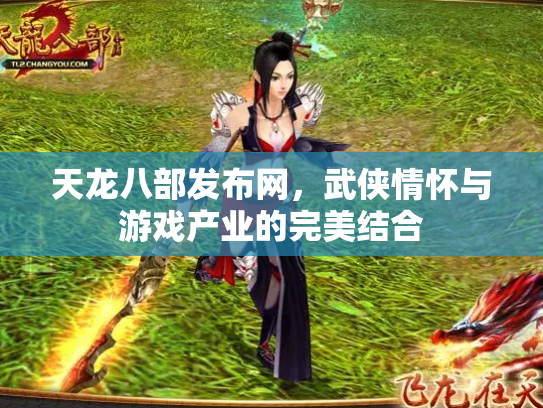 天龙八部发布网，武侠情怀与游戏产业的完美结合
