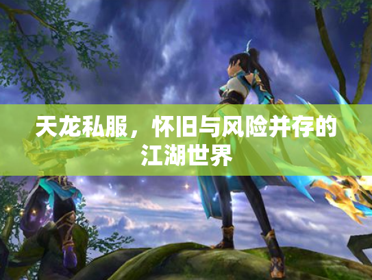 天龙私服，怀旧与风险并存的江湖世界