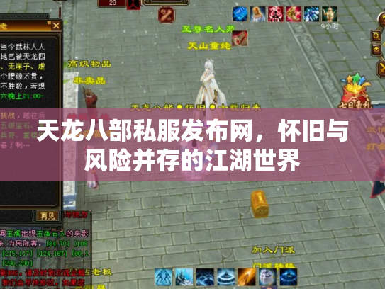 天龙八部私服发布网，怀旧与风险并存的江湖世界