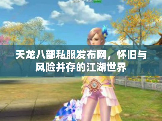 天龙八部私服发布网，怀旧与风险并存的江湖世界