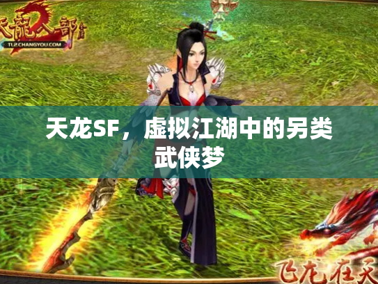 天龙SF，虚拟江湖中的另类武侠梦