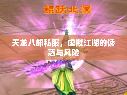 天龙八部私服，虚拟江湖的诱惑与风险