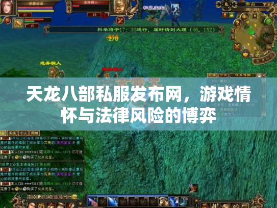 天龙八部私服发布网，游戏情怀与法律风险的博弈