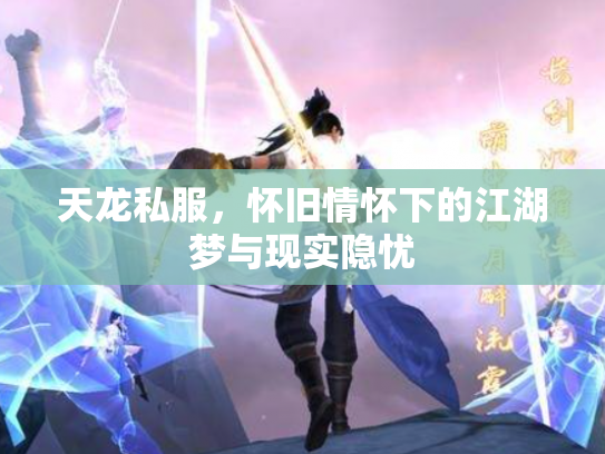 天龙私服，怀旧情怀下的江湖梦与现实隐忧