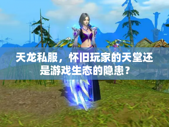 天龙私服，怀旧玩家的天堂还是游戏生态的隐患？