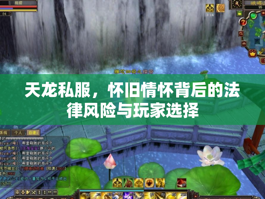 天龙私服，怀旧情怀背后的法律风险与玩家选择
