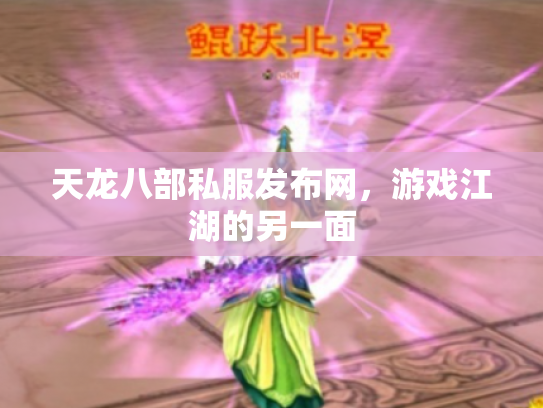 天龙八部私服发布网，游戏江湖的另一面