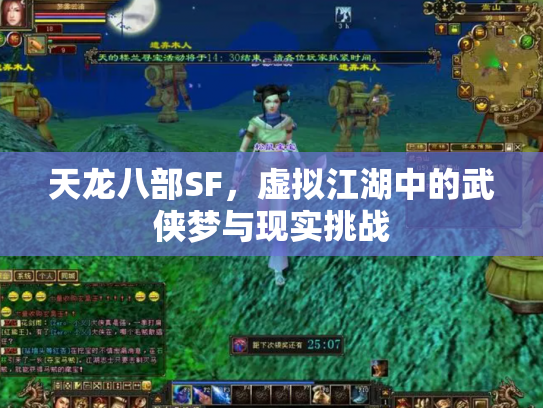 天龙八部SF，虚拟江湖中的武侠梦与现实挑战