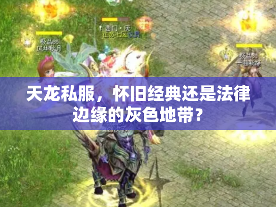 天龙私服，怀旧经典还是法律边缘的灰色地带？