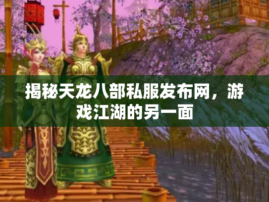 揭秘天龙八部私服发布网，游戏江湖的另一面