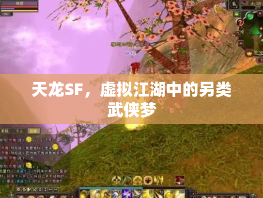 天龙SF，虚拟江湖中的另类武侠梦