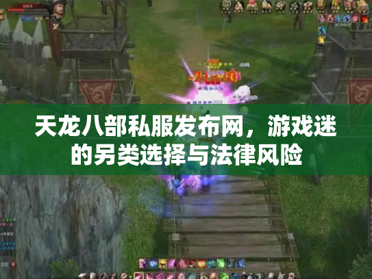天龙八部私服发布网，游戏迷的另类选择与法律风险