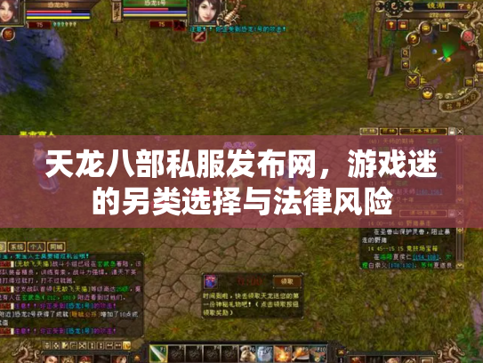 天龙八部私服发布网，游戏迷的另类选择与法律风险