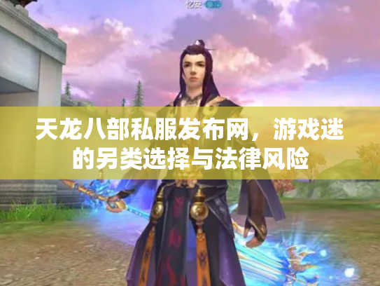 天龙八部私服发布网，游戏迷的另类选择与法律风险