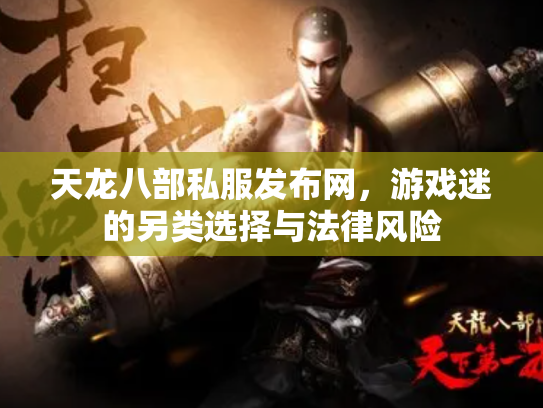 天龙八部私服发布网，游戏迷的另类选择与法律风险