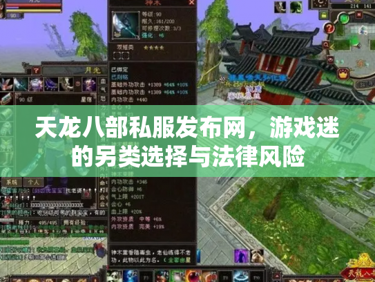 天龙八部私服发布网，游戏迷的另类选择与法律风险