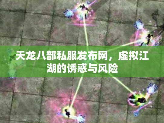 天龙八部私服发布网，虚拟江湖的诱惑与风险