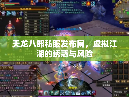 天龙八部私服发布网，虚拟江湖的诱惑与风险