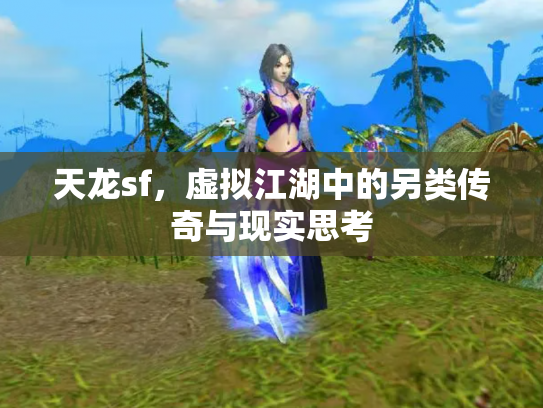 天龙sf，虚拟江湖中的另类传奇与现实思考