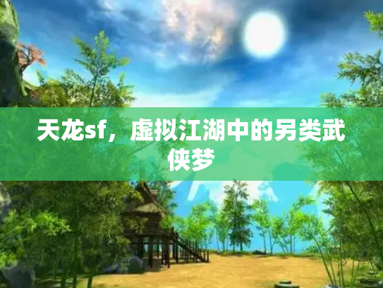 天龙sf，虚拟江湖中的另类武侠梦