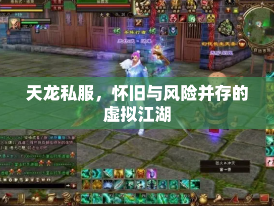 天龙私服，怀旧与风险并存的虚拟江湖