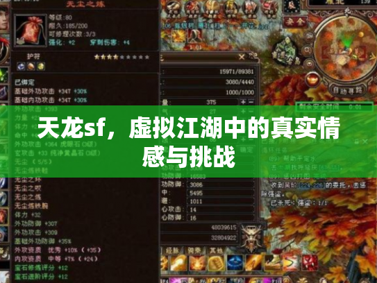 天龙sf，虚拟江湖中的真实情感与挑战