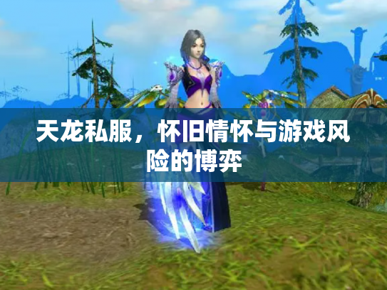 天龙私服，怀旧情怀与游戏风险的博弈