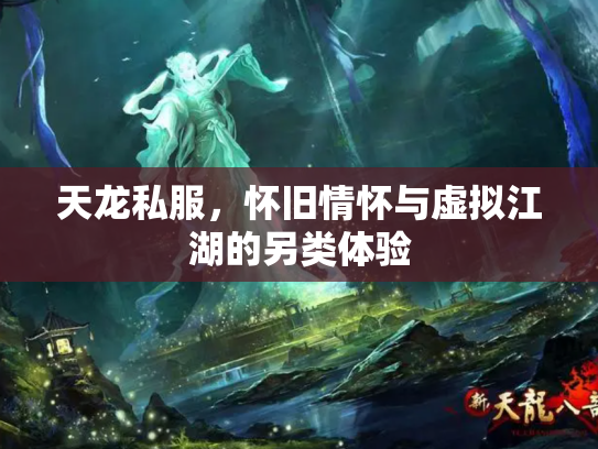 天龙私服，怀旧情怀与虚拟江湖的另类体验