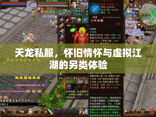 天龙私服，怀旧情怀与虚拟江湖的另类体验