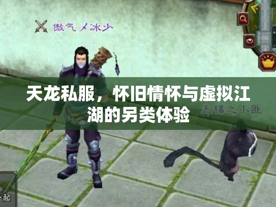 天龙私服，怀旧情怀与虚拟江湖的另类体验