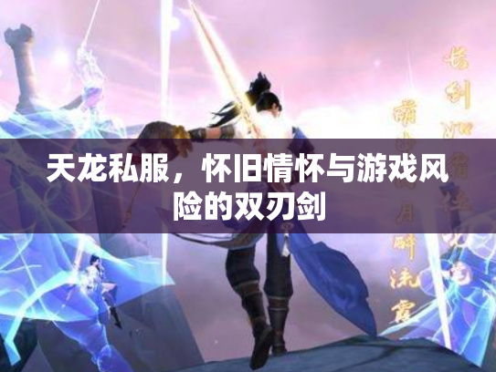 天龙私服，怀旧情怀与游戏风险的双刃剑