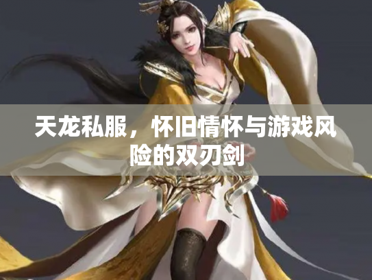 天龙私服，怀旧情怀与游戏风险的双刃剑