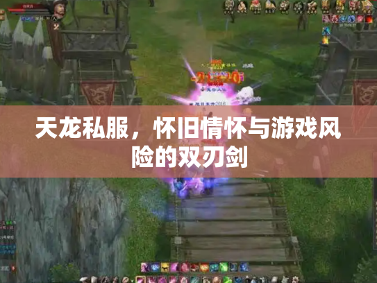 天龙私服，怀旧情怀与游戏风险的双刃剑