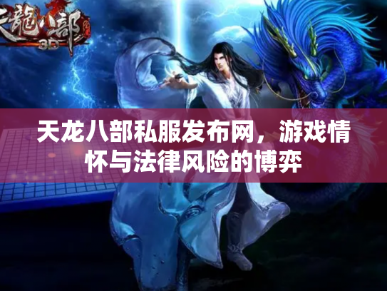 天龙八部私服发布网，游戏情怀与法律风险的博弈