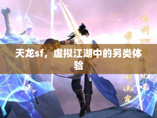 天龙sf，虚拟江湖中的另类体验
