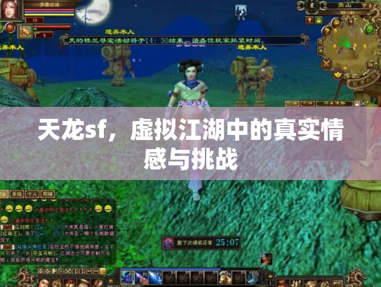 天龙sf，虚拟江湖中的真实情感与挑战