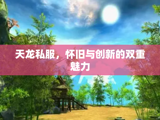 天龙私服，怀旧与创新的双重魅力