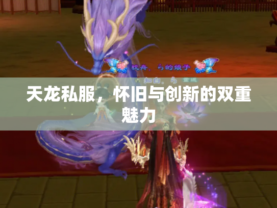 天龙私服，怀旧与创新的双重魅力