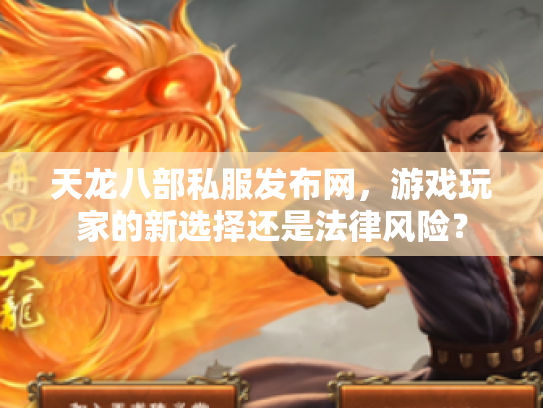 天龙八部私服发布网，游戏玩家的新选择还是法律风险？