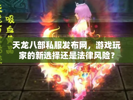 天龙八部私服发布网，游戏玩家的新选择还是法律风险？