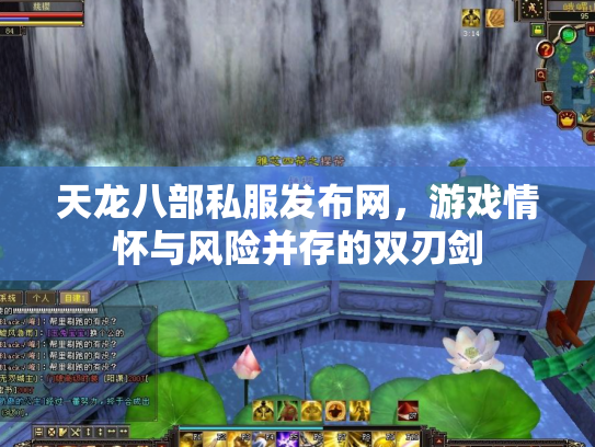 天龙八部私服发布网，游戏情怀与风险并存的双刃剑