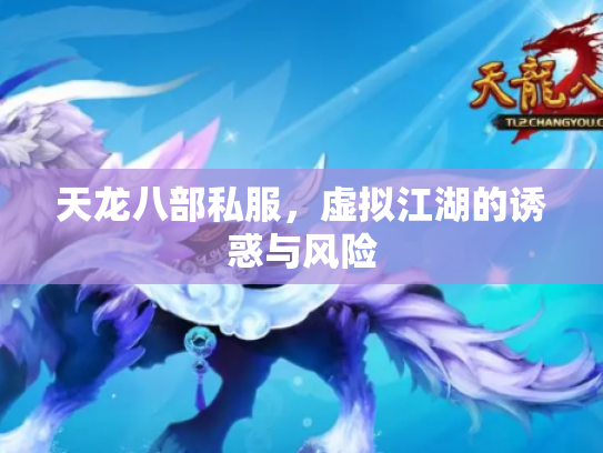 天龙八部私服，虚拟江湖的诱惑与风险