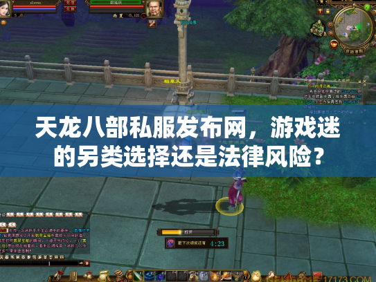 天龙八部私服发布网，游戏迷的另类选择还是法律风险？