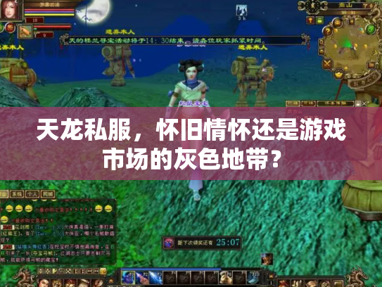 天龙私服，怀旧情怀还是游戏市场的灰色地带？