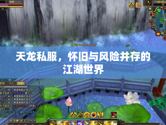 天龙私服，怀旧与风险并存的江湖世界
